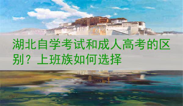 湖北自学考试和成人高考的区别？上班族如何选择