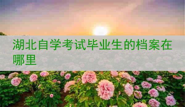 湖北自学考试毕业生的档案在哪里