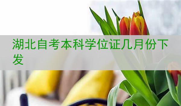 湖北自考本科学位证几月份下发