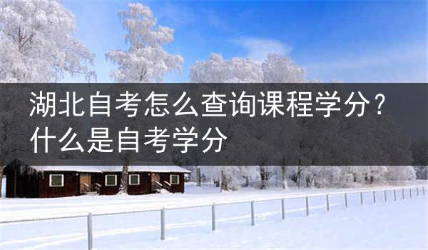 湖北自考怎么查询课程学分？什么是自考学分