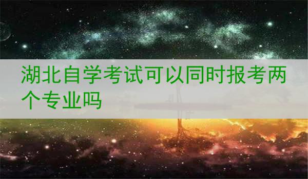 湖北自学考试可以同时报考两个专业吗