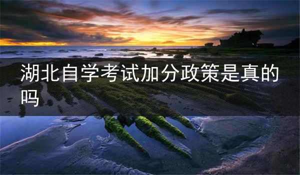 湖北自学考试加分政策是真的吗
