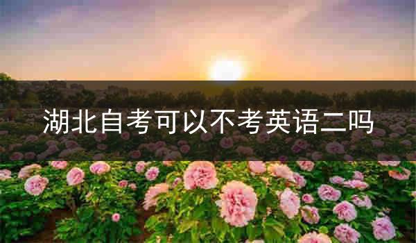 湖北自考可以不考英语二吗