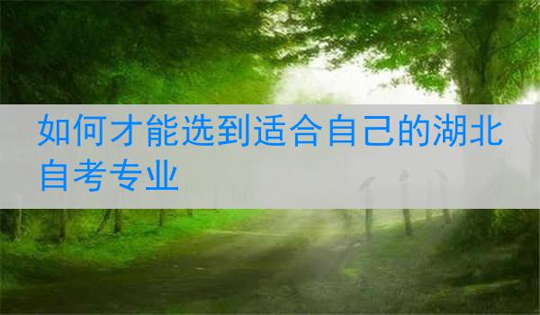 如何才能选到适合自己的湖北自考专业
