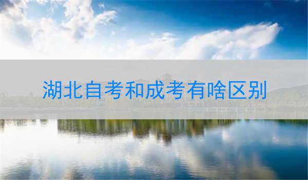 湖北自考和成考有啥区别
