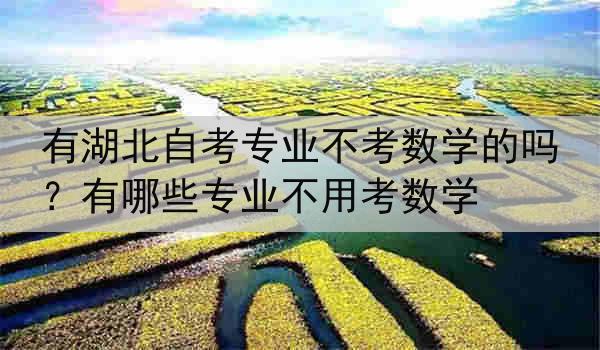 有湖北自考专业不考数学的吗?有哪些专业不用考数学