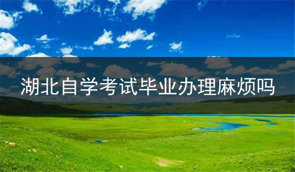 湖北自学考试毕业办理麻烦吗