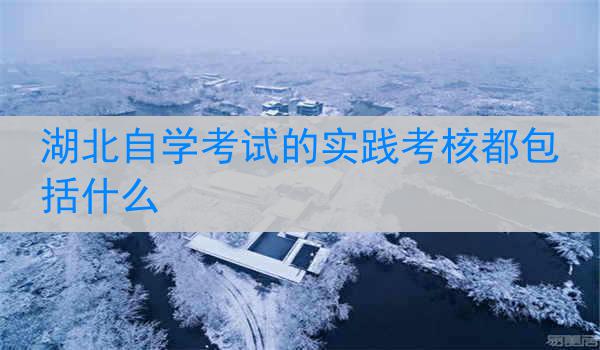 湖北自学考试的实践考核都包括什么