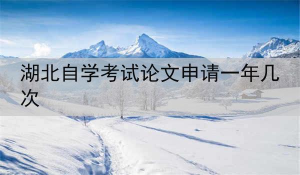 湖北自学考试论文申请一年几次