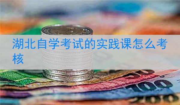 湖北自学考试的实践课怎么考核