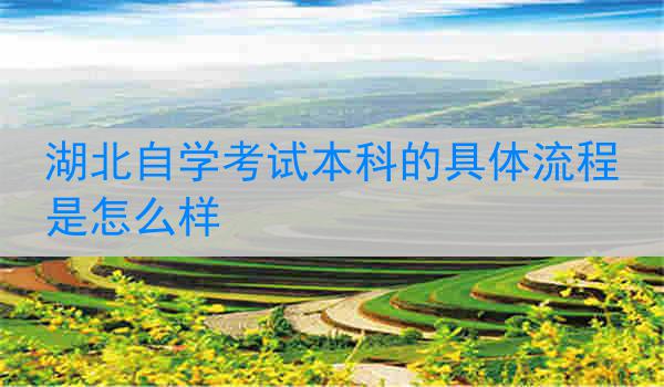 湖北自学考试本科的具体流程是怎么样