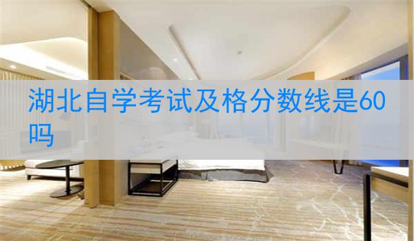 湖北自学考试及格分数线是60吗