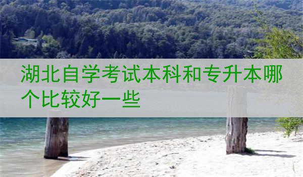 湖北自学考试本科和专升本哪个比较好一些