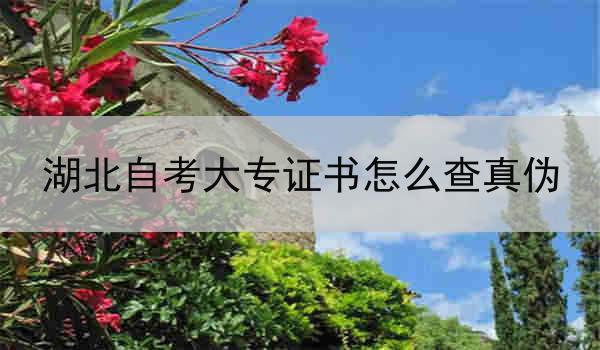 湖北自考大专证书怎么查真伪