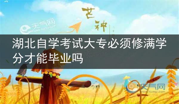 湖北自学考试大专必须修满学分才能毕业吗