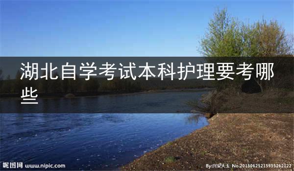 湖北自学考试本科护理要考哪些