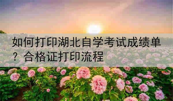 如何打印湖北自学考试成绩单？合格证打印流程