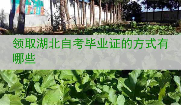 领取湖北自考毕业证的方式有哪些