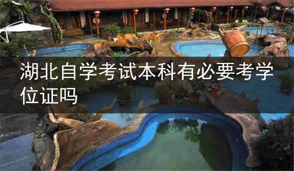 湖北自学考试本科有必要考学位证吗