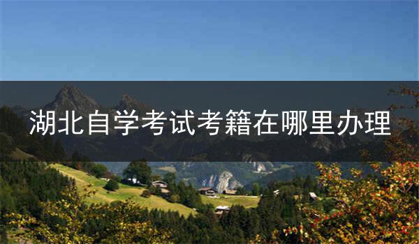 湖北自学考试考籍在哪里办理