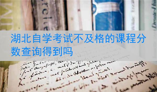湖北自学考试不及格的课程分数查询得到吗