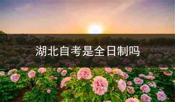 湖北自考是全日制吗