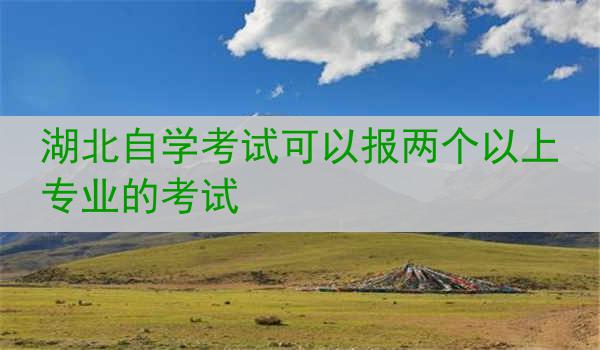 湖北自学考试可以报两个以上专业的考试