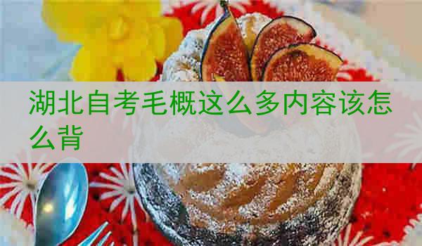湖北自考毛概这么多内容该怎么背