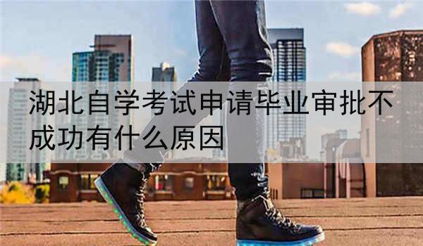 湖北自学考试申请毕业审批不成功有什么原因