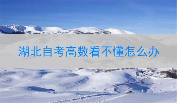 湖北自考高数看不懂怎么办