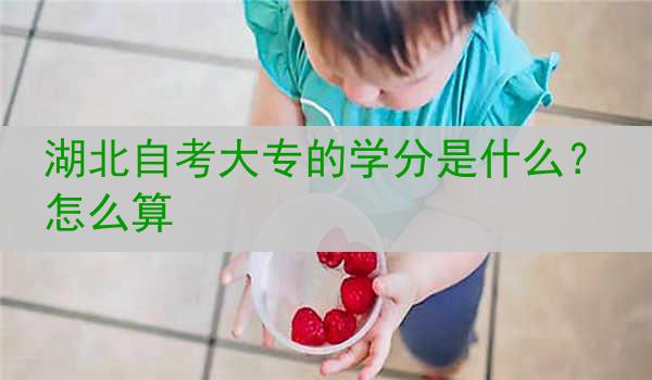 湖北自考大专的学分是什么？怎么算