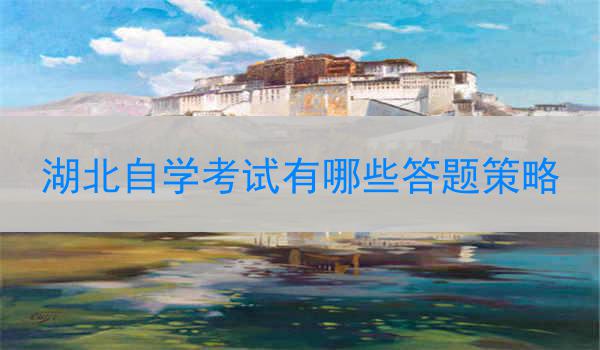 湖北自学考试有哪些答题策略