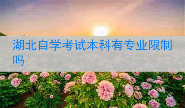湖北自学考试本科有专业限制吗