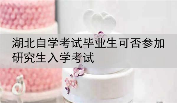 湖北自学考试毕业生可否参加研究生入学考试