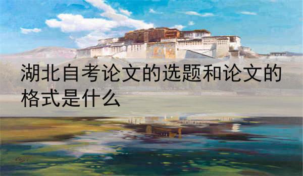 湖北自考论文的选题和论文的格式是什么