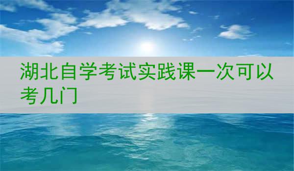 湖北自学考试实践课一次可以考几门
