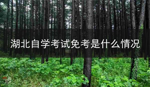 湖北自学考试免考是什么情况