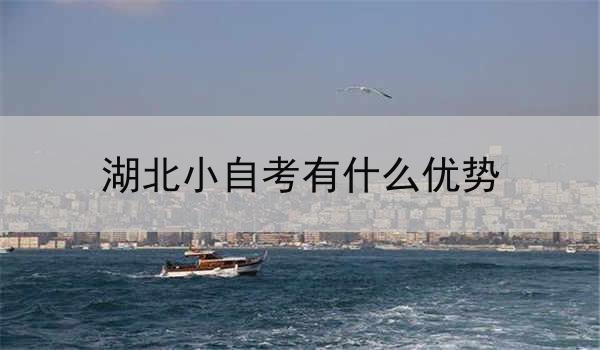 湖北小自考有什么优势