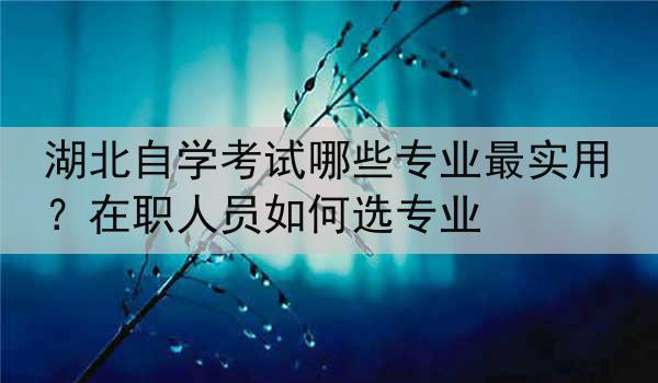 湖北自学考试哪些专业最实用？在职人员如何选专业