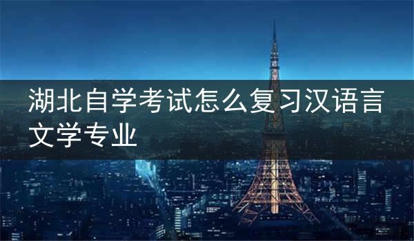 湖北自学考试怎么复习汉语言文学专业