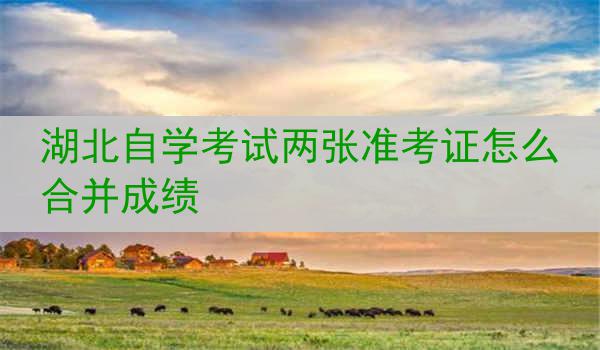 湖北自学考试两张准考证怎么合并成绩