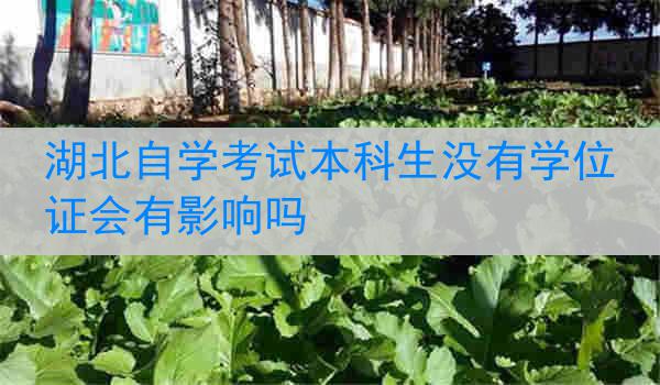 湖北自学考试本科生没有学位证会有影响吗