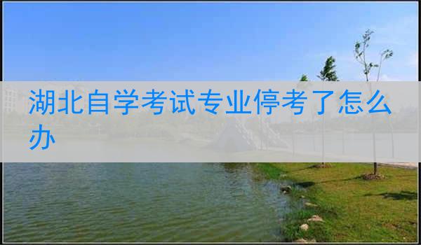 湖北自学考试专业停考了怎么办