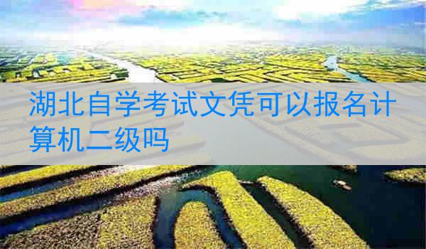 湖北自学考试文凭可以报名计算机二级吗