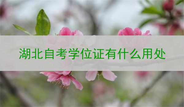 湖北自考学位证有什么用处