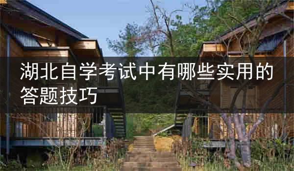 湖北自学考试中有哪些实用的答题技巧