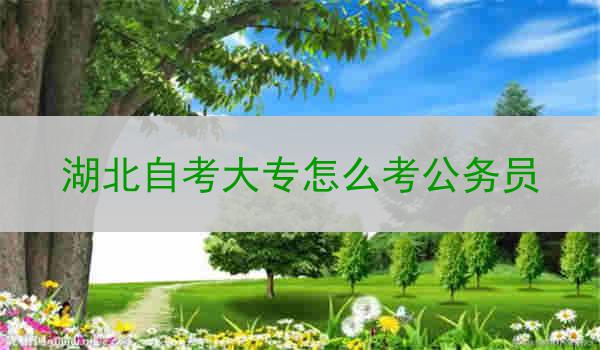湖北自考大专怎么考公务员