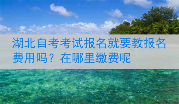 湖北自考考试报名就要教报名费用吗？在哪里缴费呢