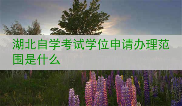 湖北自学考试学位申请办理范围是什么
