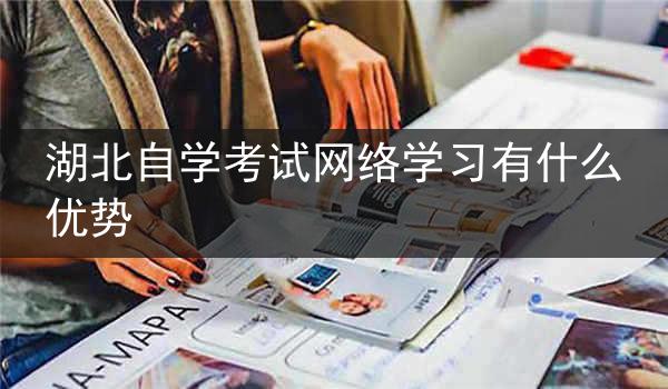 湖北自学考试网络学习有什么优势